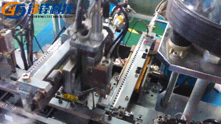 1.gif